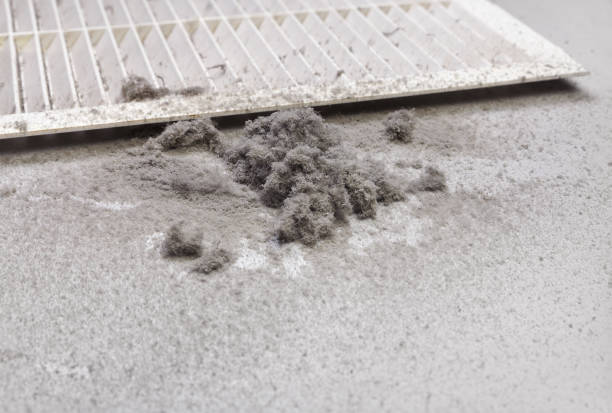 Best Dryer Vent Cleaning Services  in North Druid Hills, GA