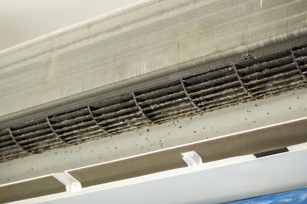 Best Affordable Duct Cleaning Services  in North Druid Hills, GA